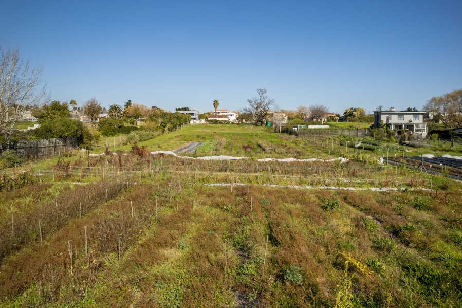0 Bedroom Property for Sale in Jamestown Western Cape